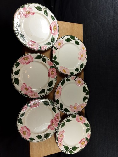 Villeroy boch wildrose - 6,
