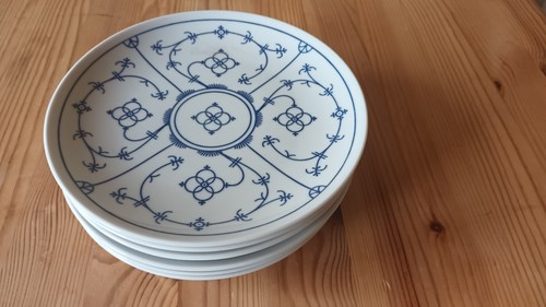 Winterling indisch blau - indisch,