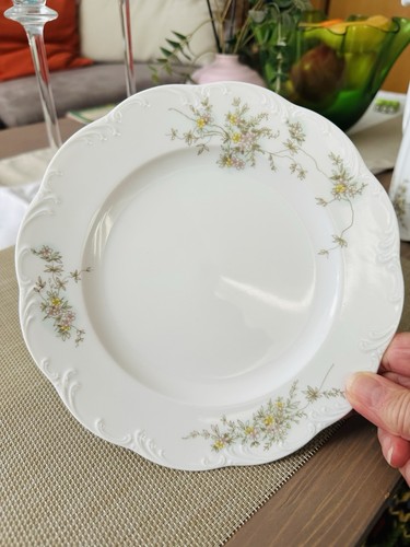 Rosenthal classic rose - classic,