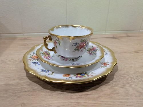 Hammersley lady patricia - hammersley,
