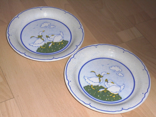 Gänse motiv schöne - motiv,